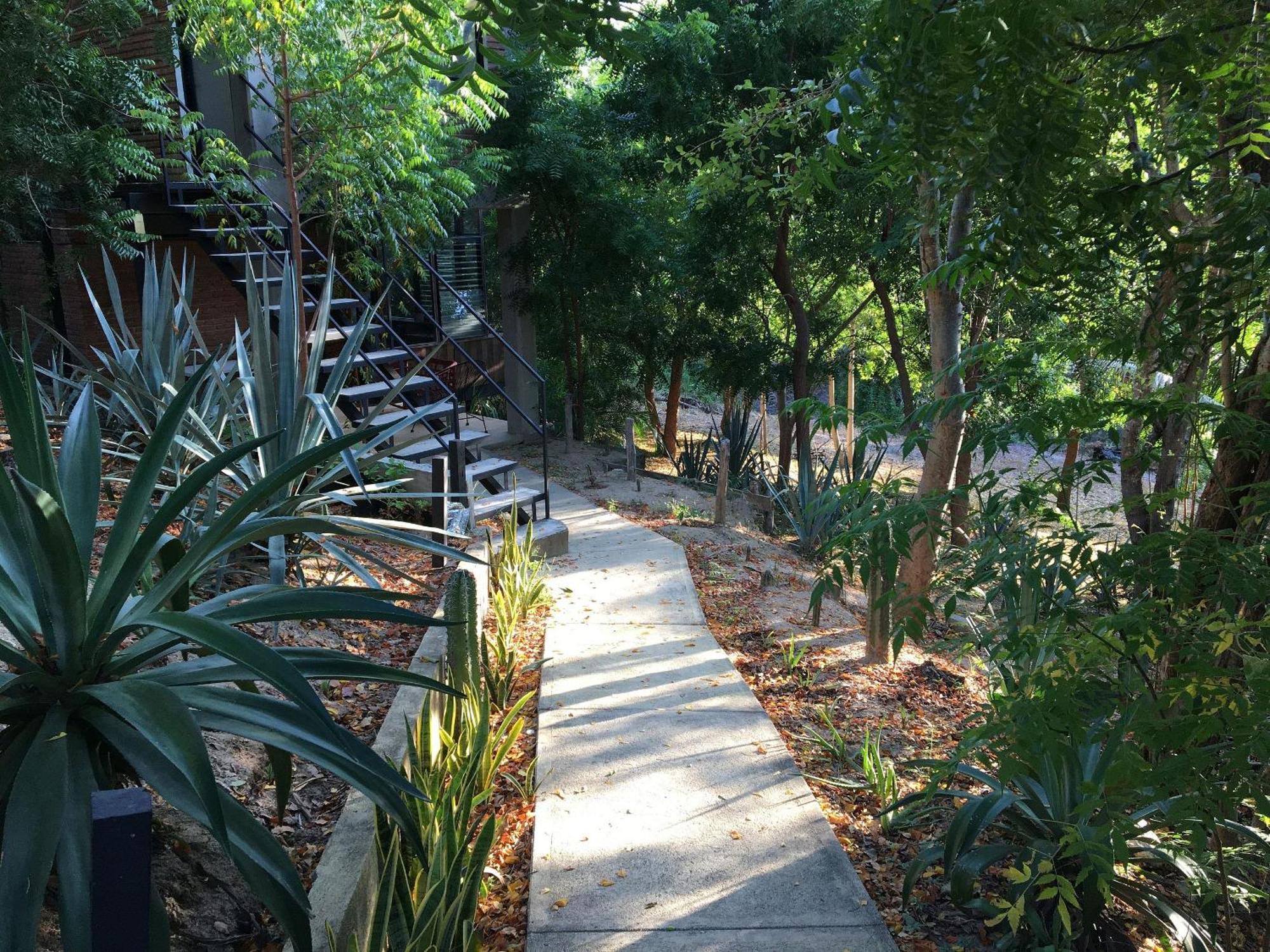 Centro Sati Bungalow Cuatunalco 외부 사진